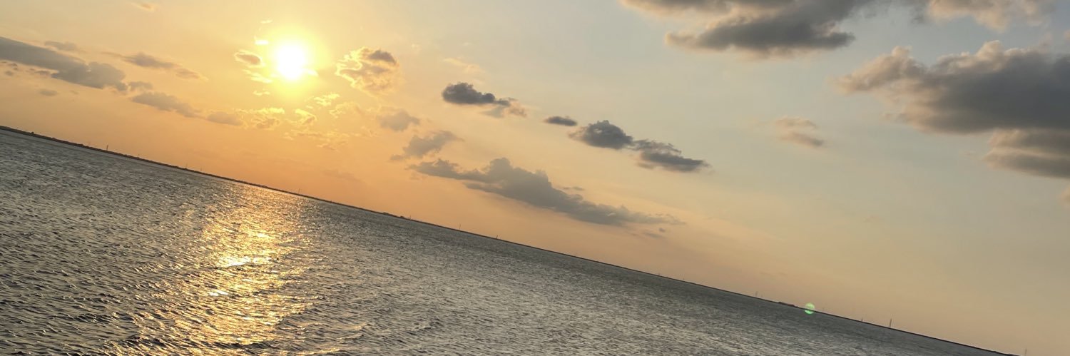 tradingtard's profile banner image