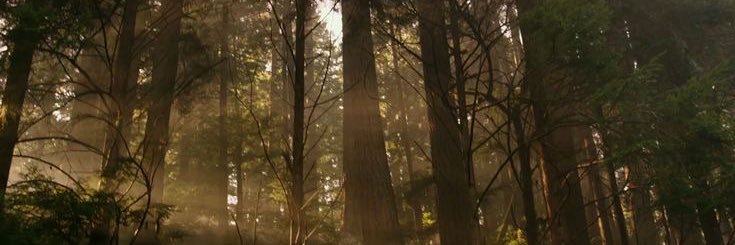 C0NEJITA__'s profile banner image