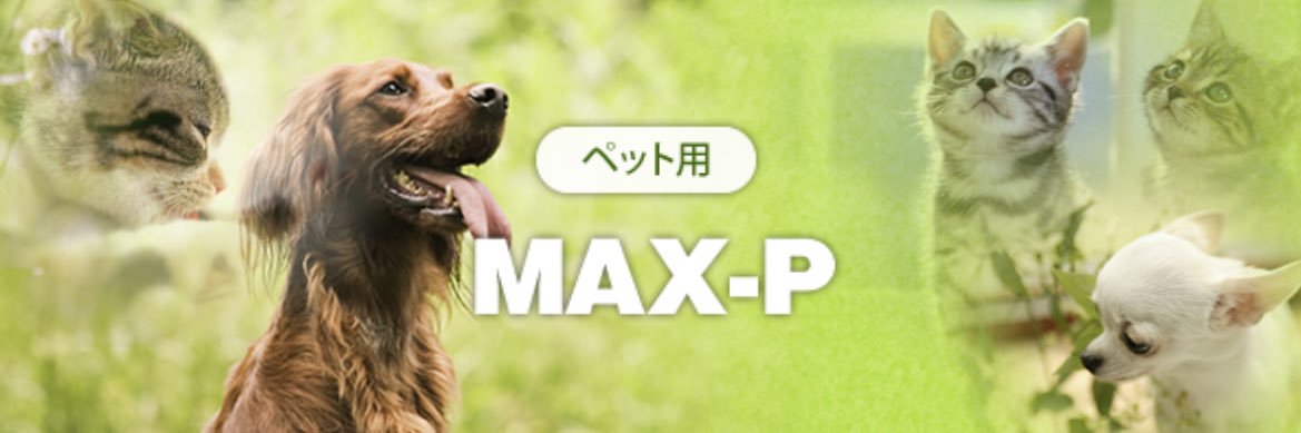 MAX_P___'s profile banner image