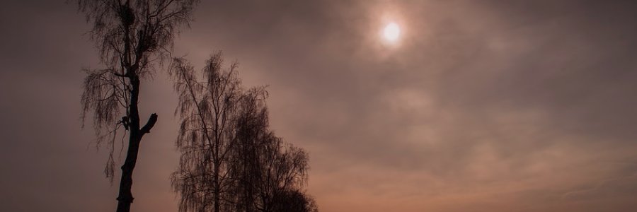 BaileyRawston's profile banner image