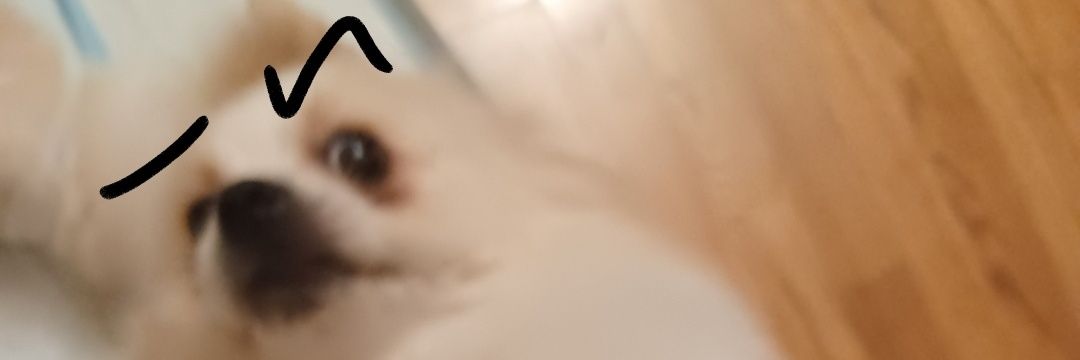 PabloGarcia🌸 banner