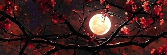 Sansa_arts's profile banner image