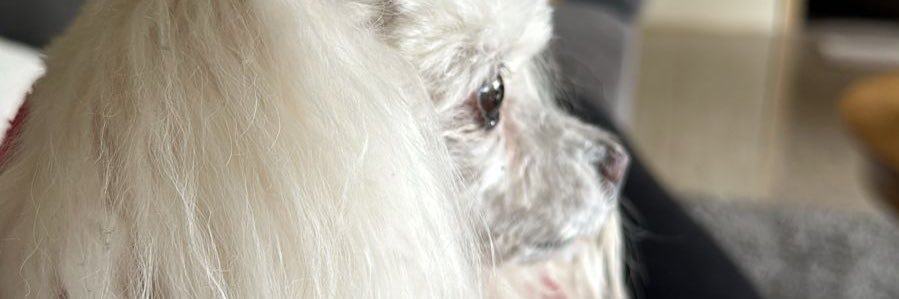 patrickstem2's profile banner image