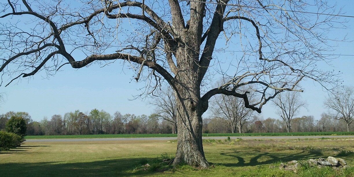 tmperry68's profile banner image