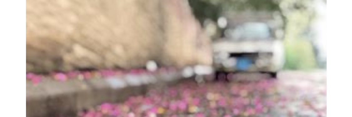 tmmooo7's profile banner image