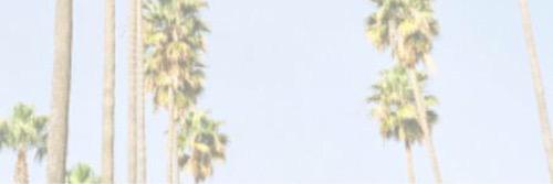 infamousloren's profile banner image