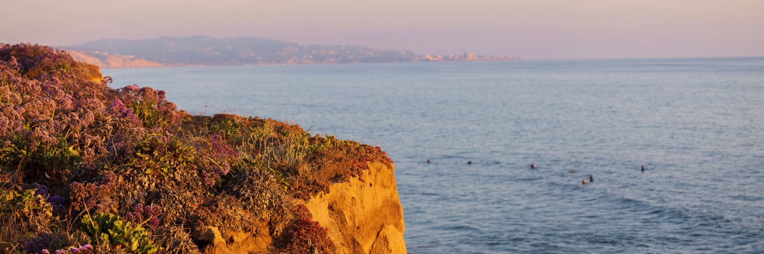 Leo Gorodinski banner