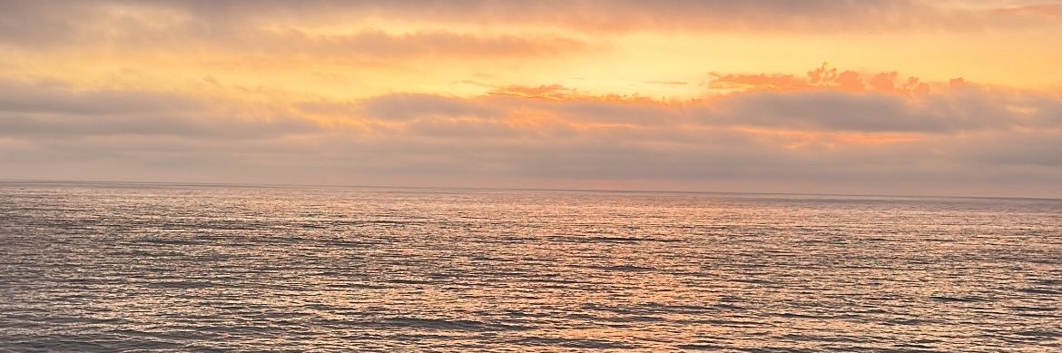 mhuynhing's profile banner image