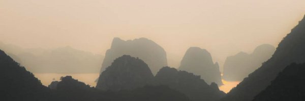 Edica Profile Banner