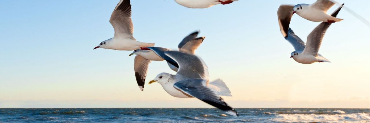 van ilango (JustNifty) banner