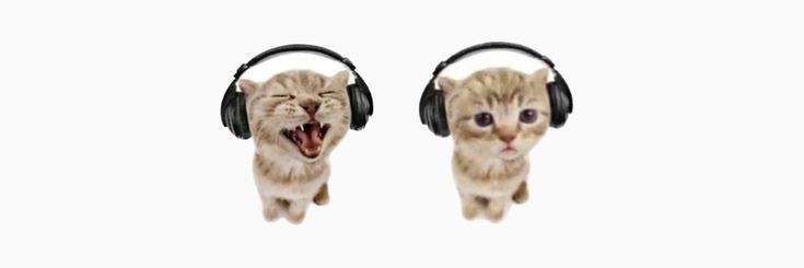 _butterlie's profile banner image