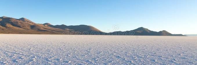 Leon Chambert banner