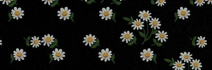 Missphian's profile banner image