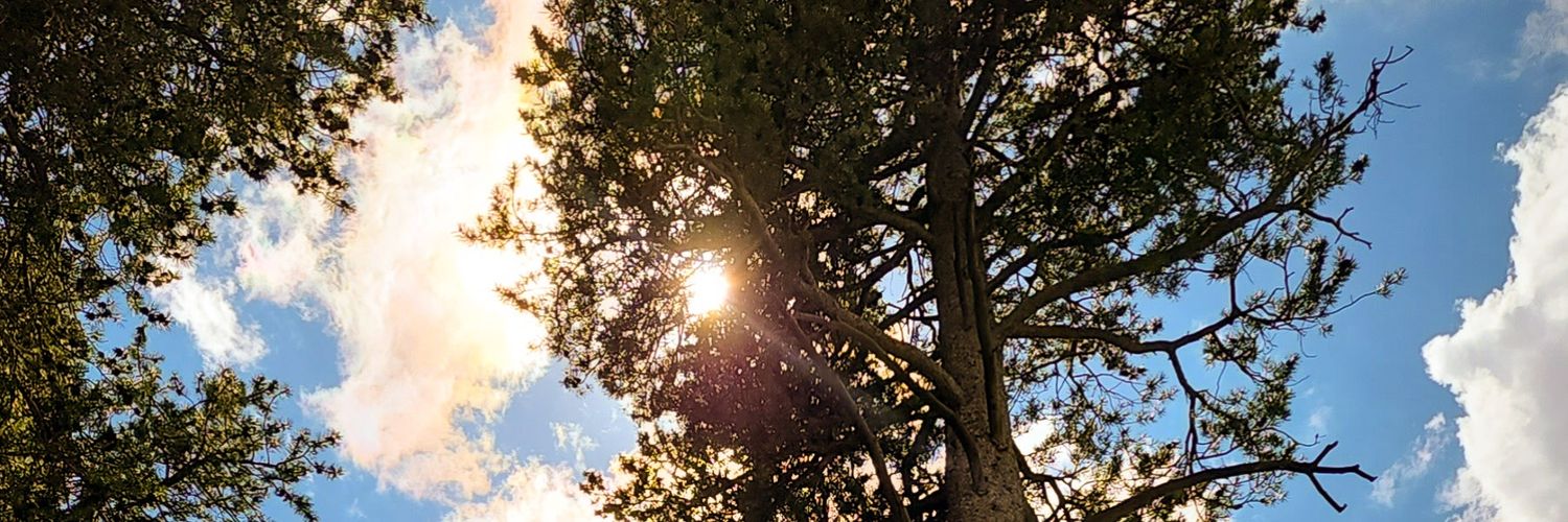 TeeAyche's profile banner image