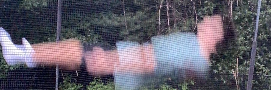 dtzone19's profile banner image