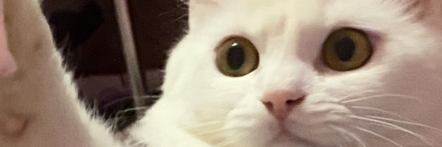 💓 banner