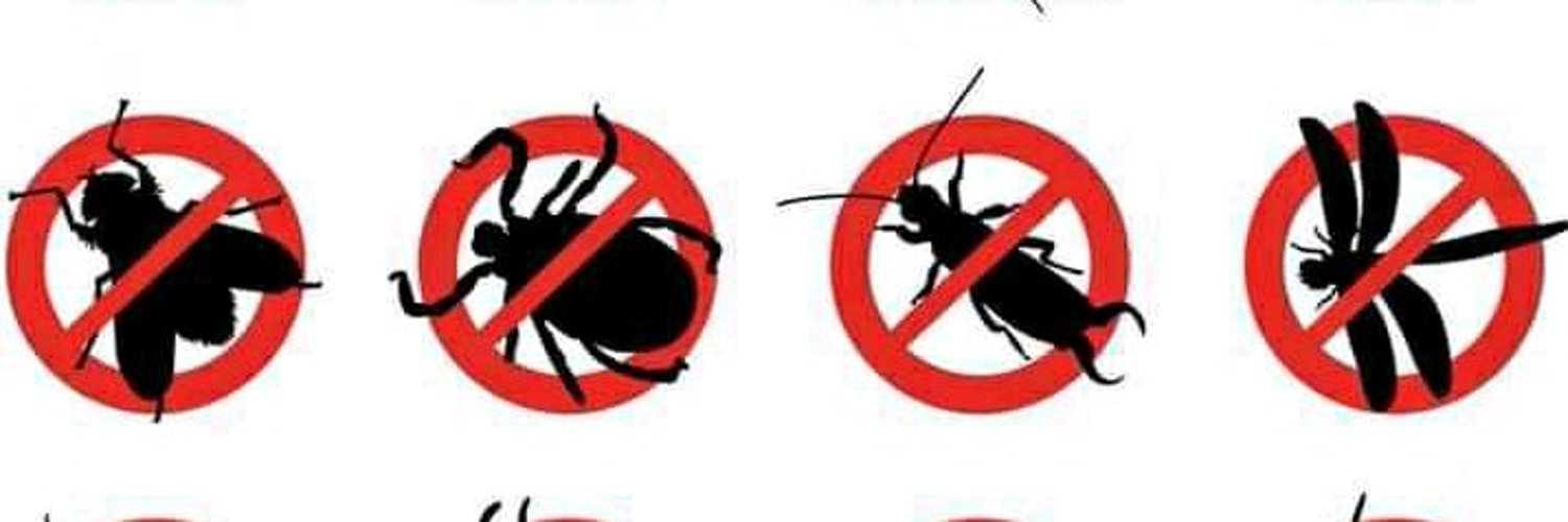 Против насекомых. Символ борьбы с вредителями насекомыми. Памятка о дезинсекции. Травля насекомых. Удаляем насекомых.