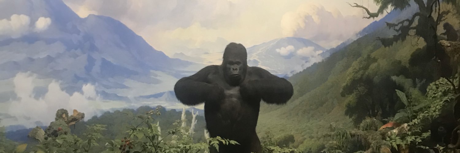 jose__7's profile banner image