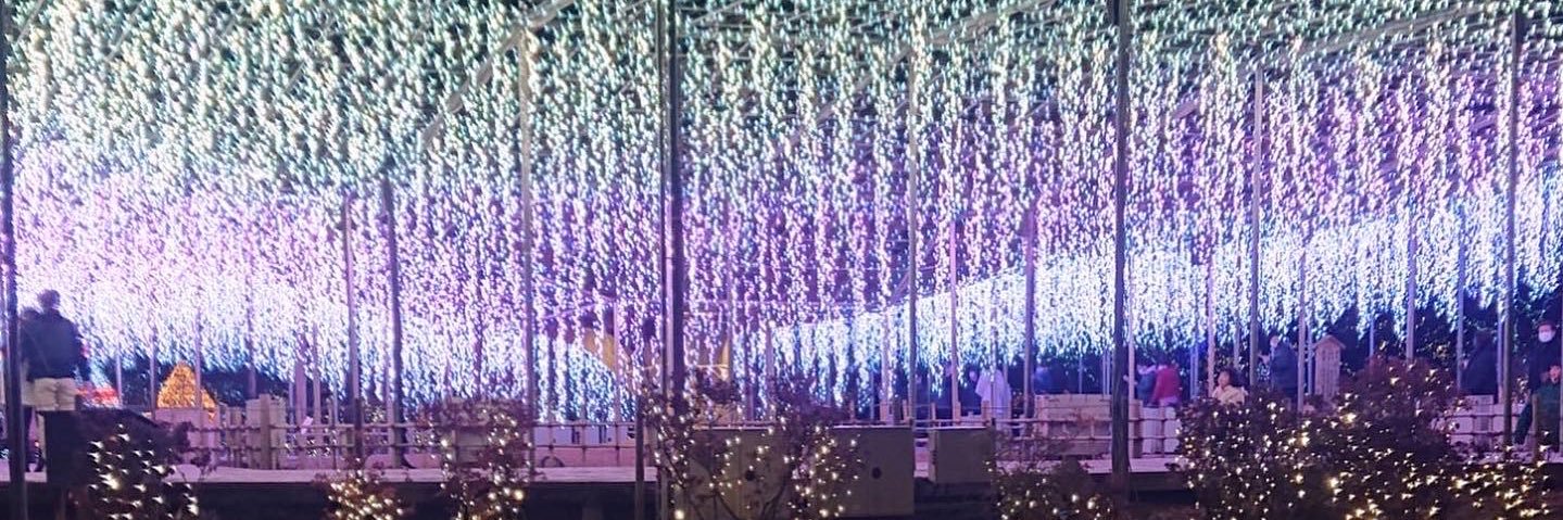 マイケル☺︎🦖 banner