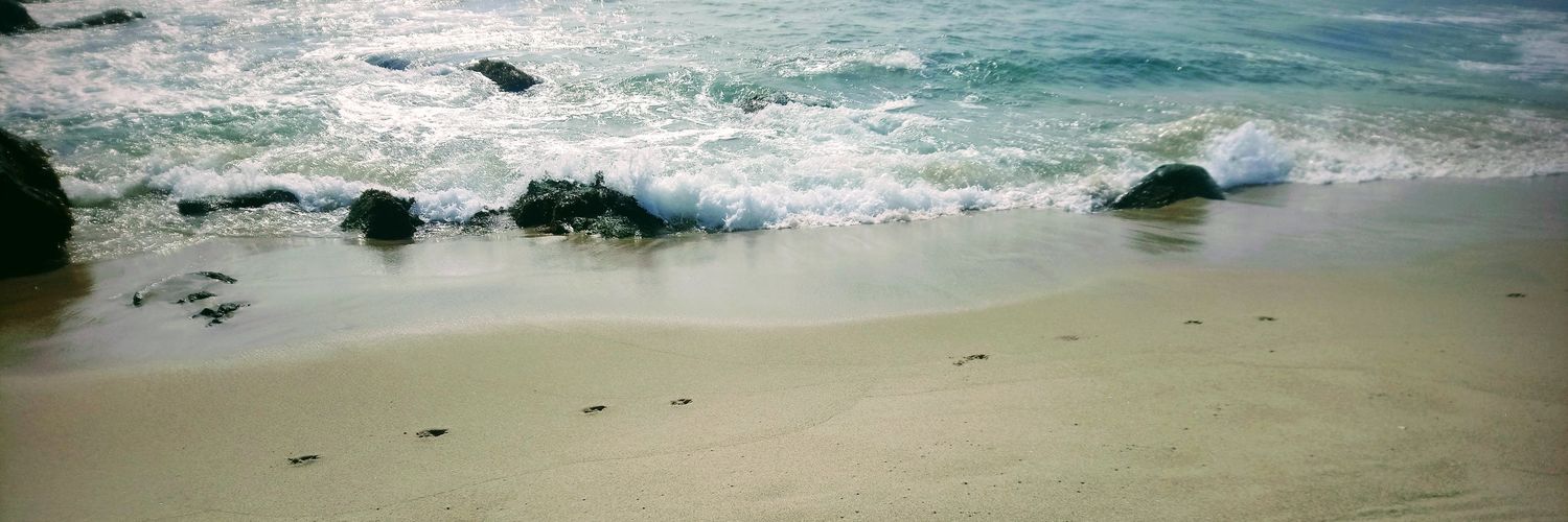 Violeta_jcl's profile banner image