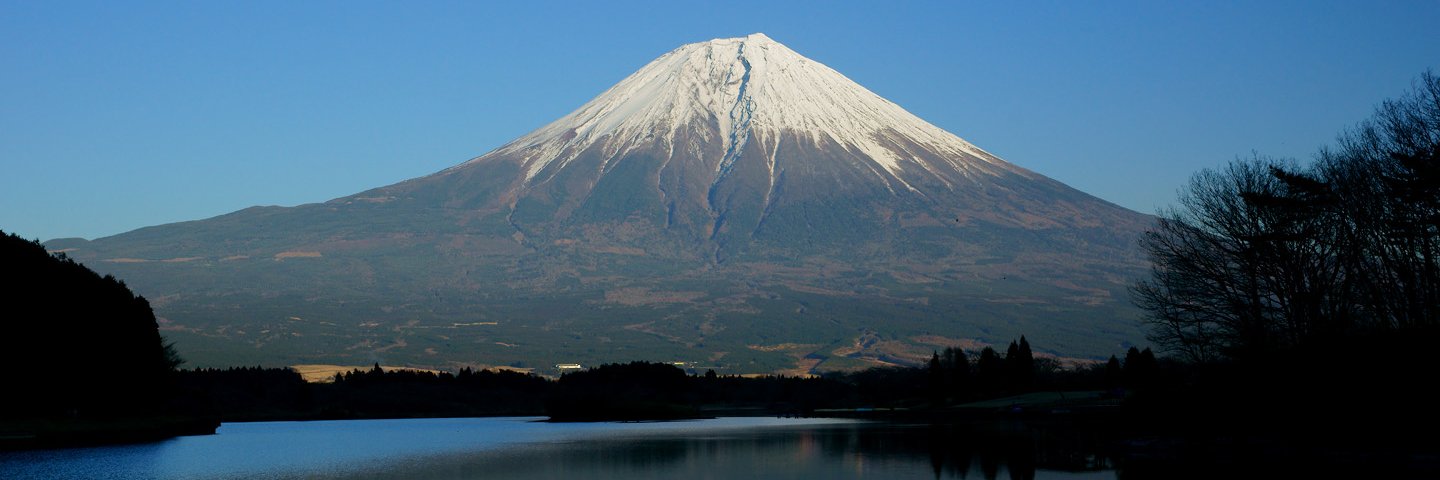 DUALIS_tanuki's profile banner image