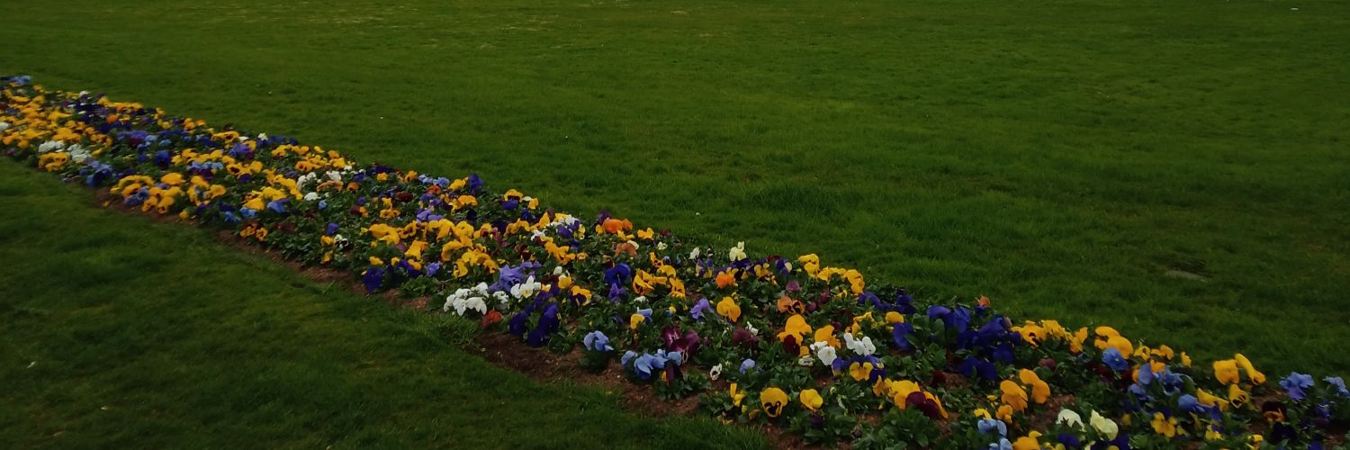 Helena Budde banner