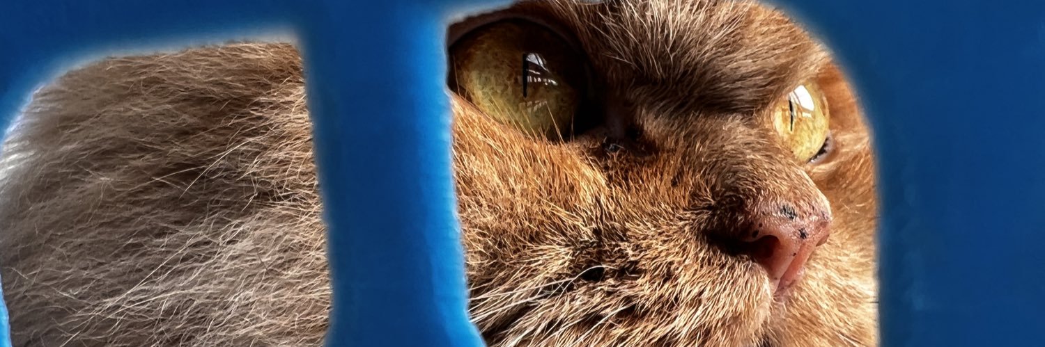 jorg3nius's profile banner image