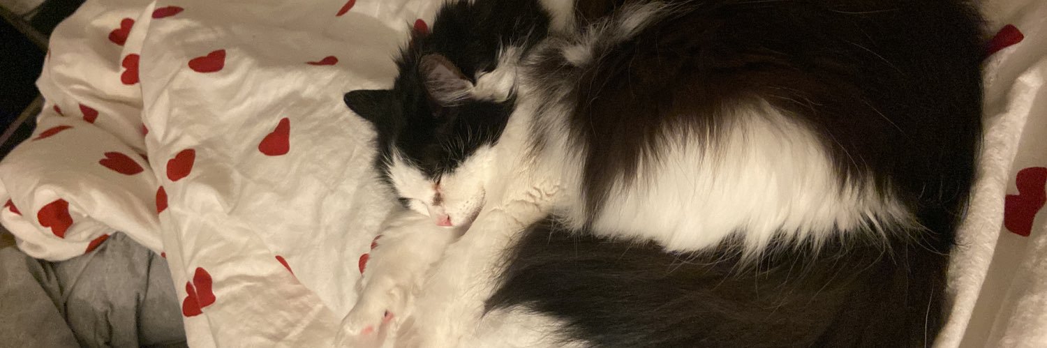 Fluffywashere_'s profile banner image
