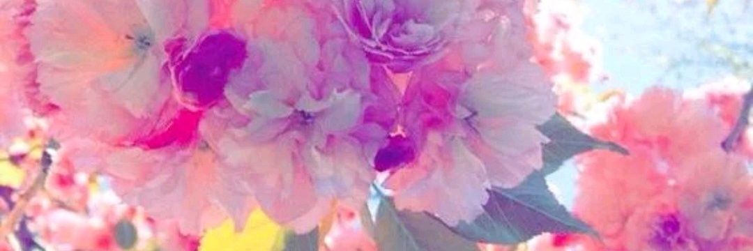 Debi__M's profile banner image