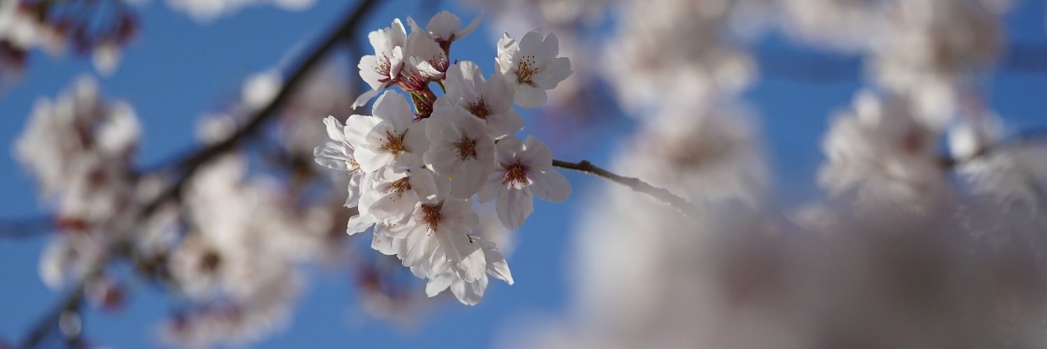 TAK_KoDAMA's profile banner image