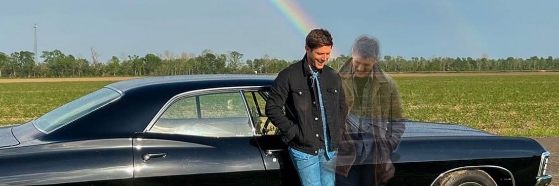 iremwinch's profile banner image