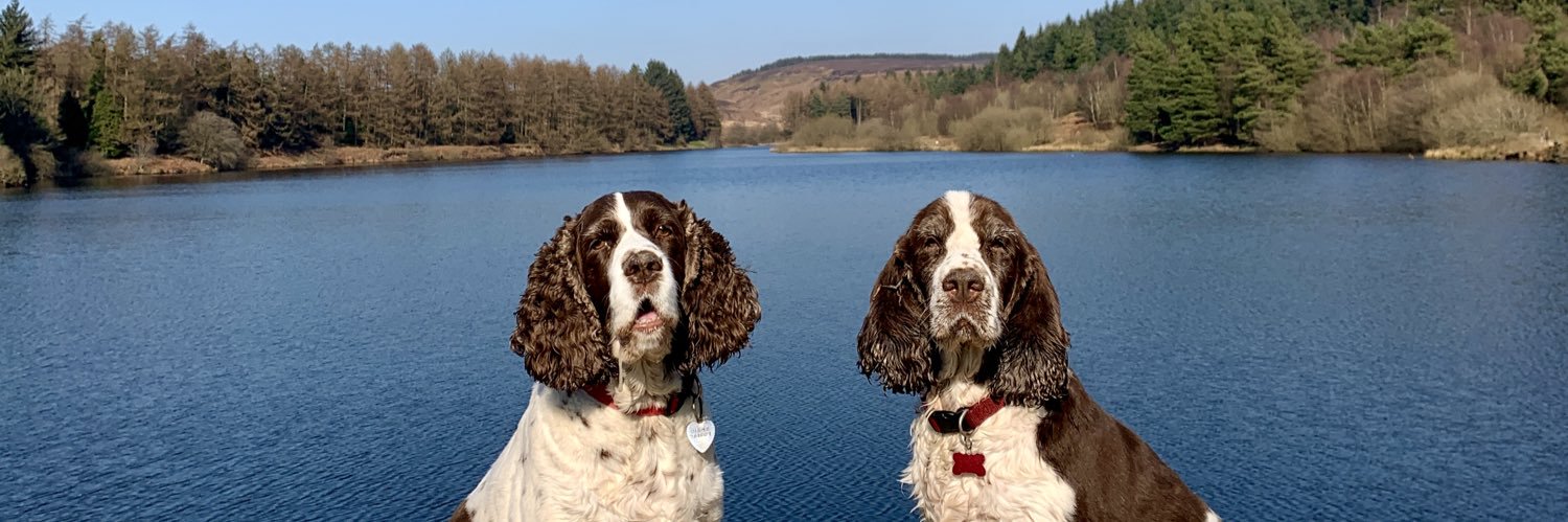 Beth-anythingOT banner