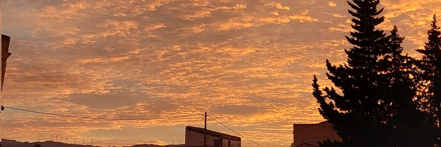 __sofiiiia6's profile banner image
