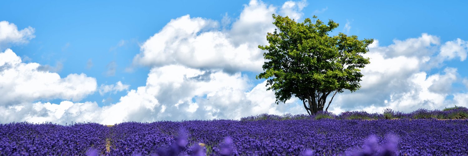 CsCosmo_Sapporo's profile banner image