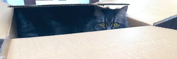 iamgoraikochaN Profile Banner