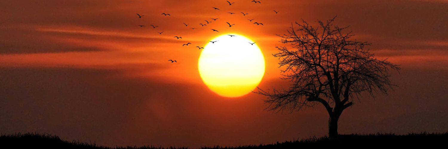 GwHasnain's profile banner image