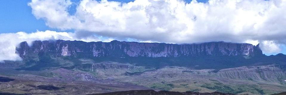 Gabiimiche's profile banner image