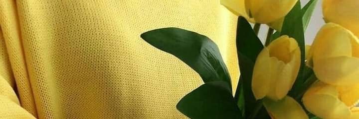 secu_tie's profile banner image