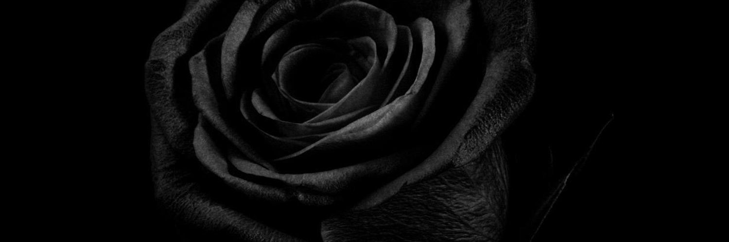 Richard Knott banner