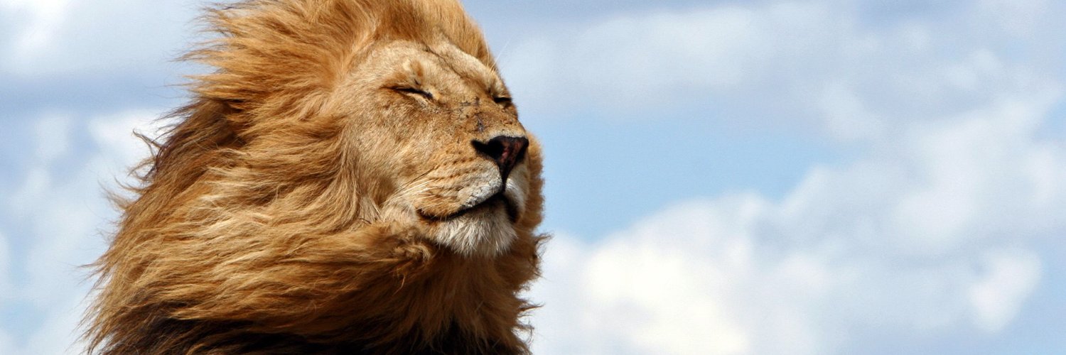pablorebon's profile banner image
