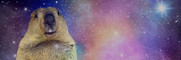 andymoriGO's profile banner image
