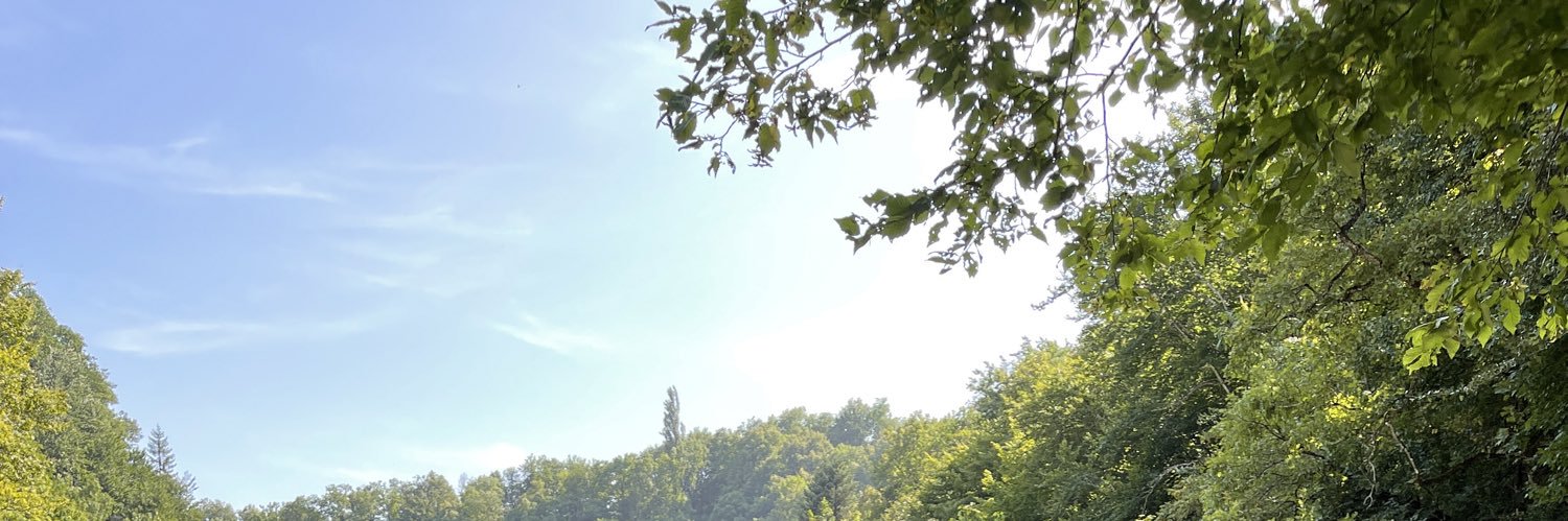 dferrerop's profile banner image