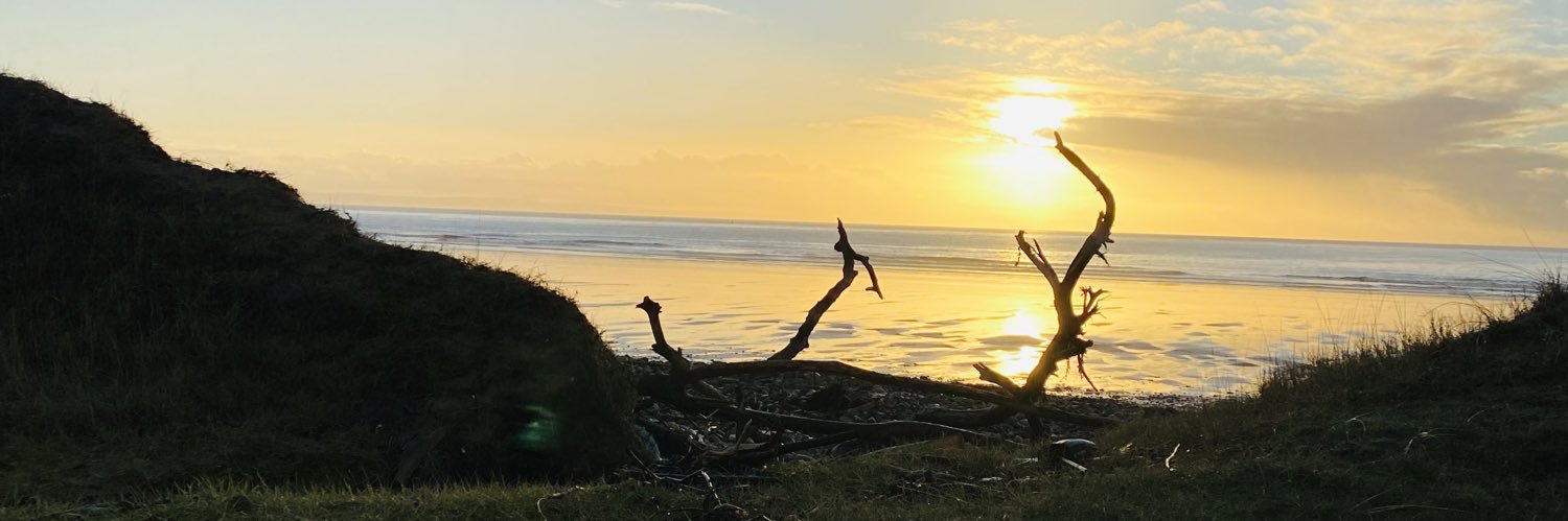 ppwps's profile banner image
