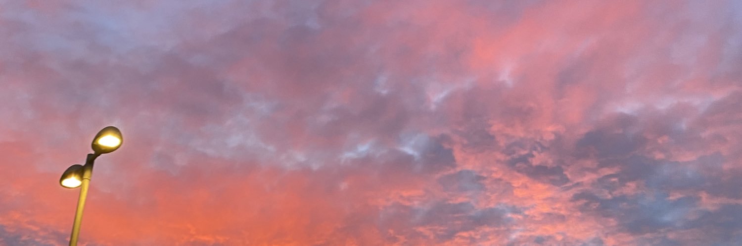 Saskia Starritt banner