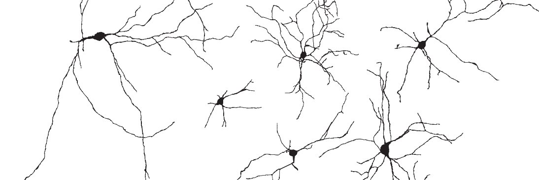 Michael Roberts banner