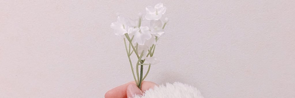 AIRIERU's profile banner image