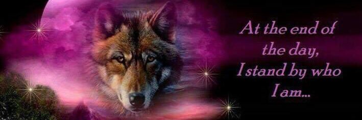 WarriorTaryn's profile banner image