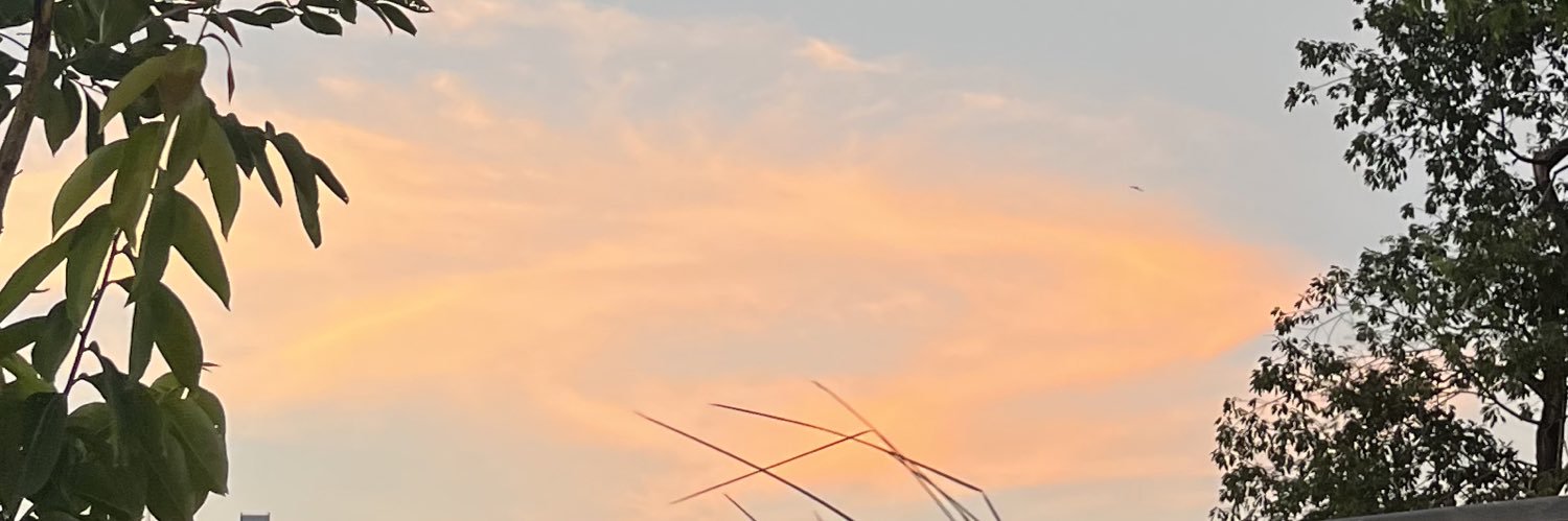 ⸝⸝ʚ̴̶̷̆ ̯ʚ̴̶̷̆⸝⸝ banner