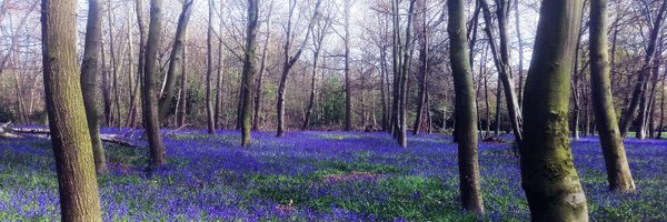 RedIndependents Profile Banner