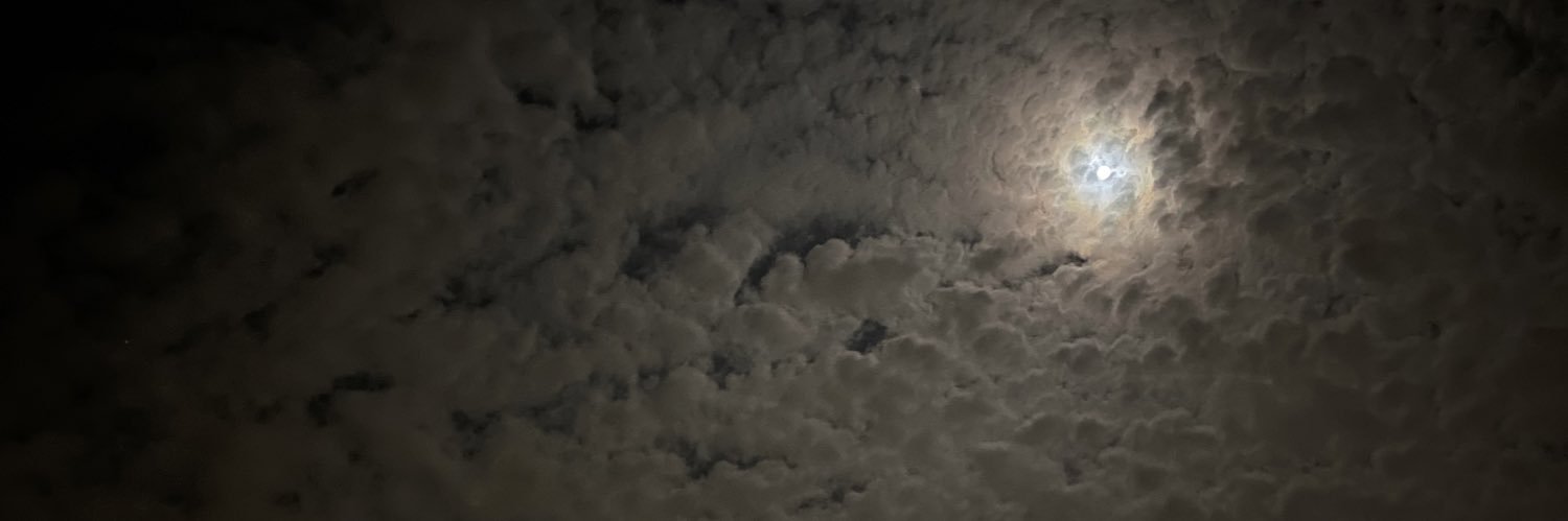 Twinkle Cat✨🐈‍⬛ banner